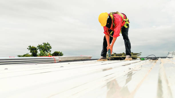 Best Chimney Flashing Repair  in North Lima, OH